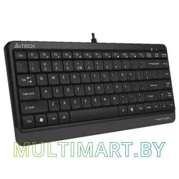 Клавиатура A4Tech Fstyler FK11 (черный/серый)